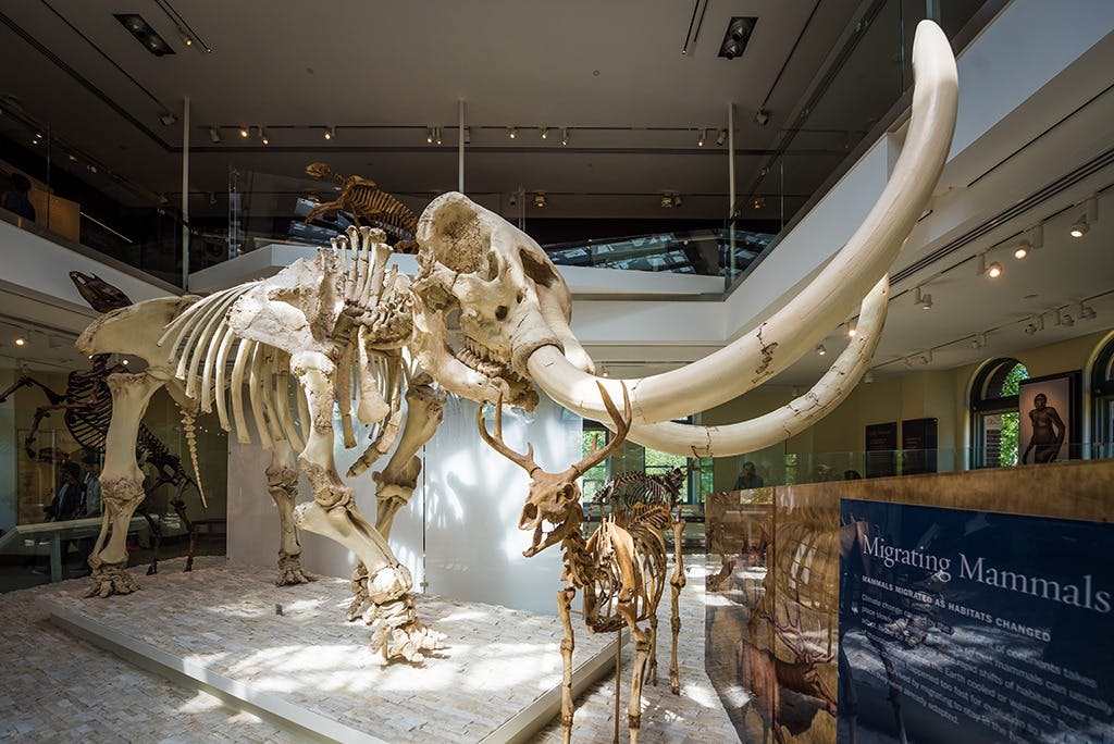 Natural History Museum of Los Angeles County Ticket Location
