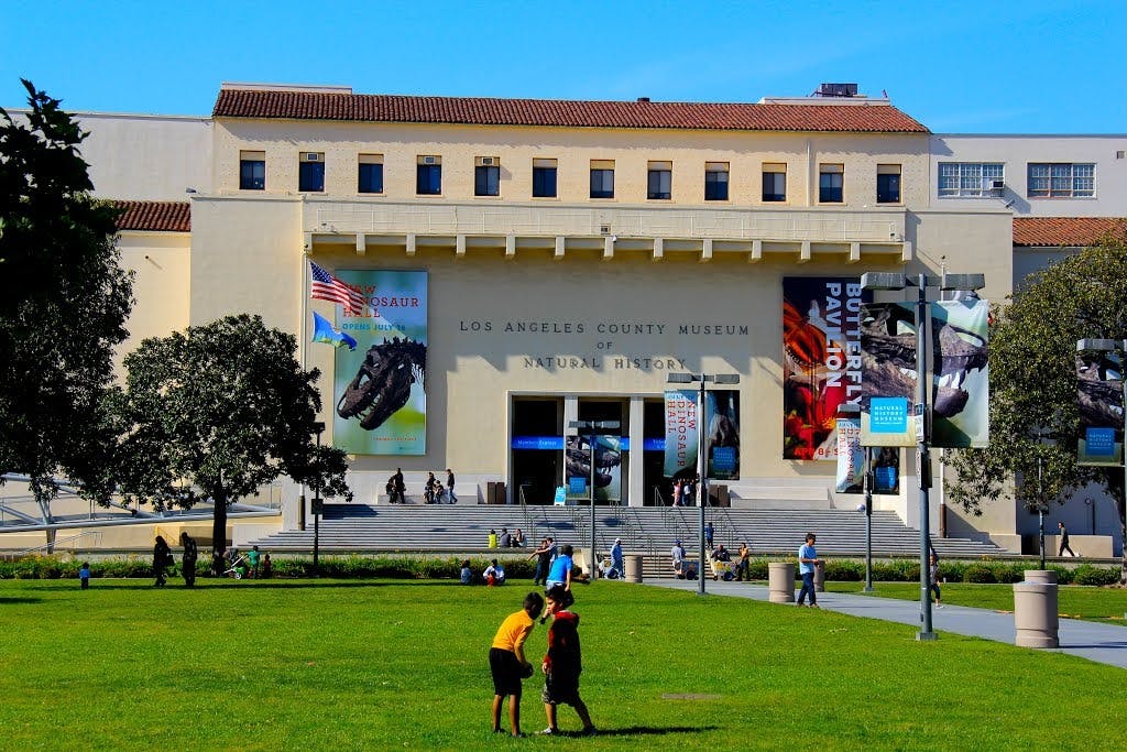 Natural History Museum of Los Angeles County Ticket Category
