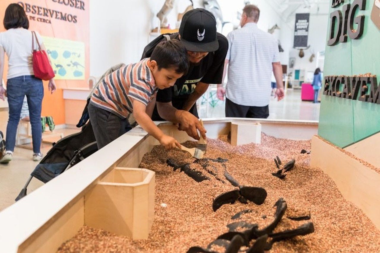 Natural History Museum of Los Angeles County Ticket Price