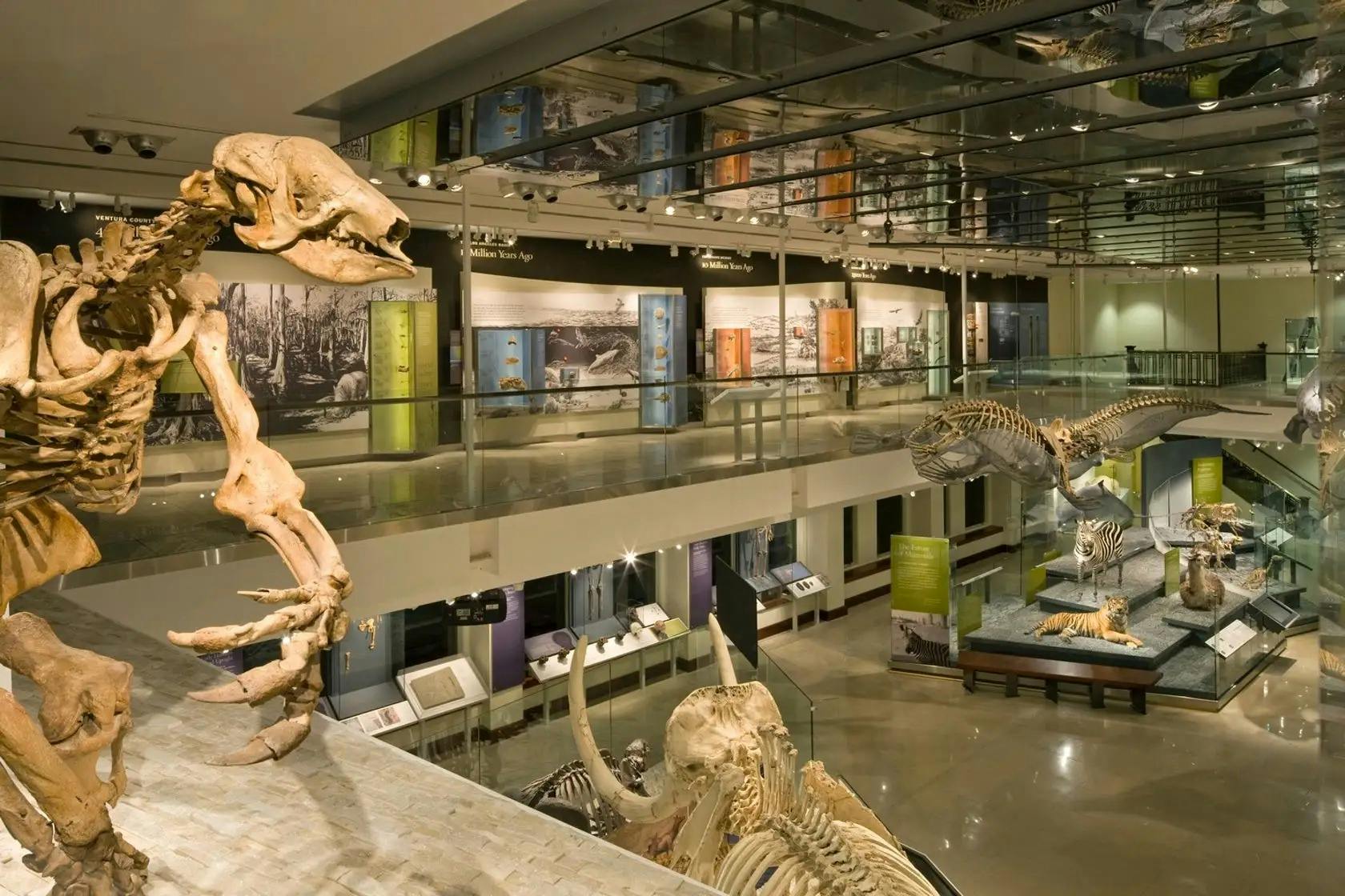 Natural History Museum of Los Angeles County Ticket 