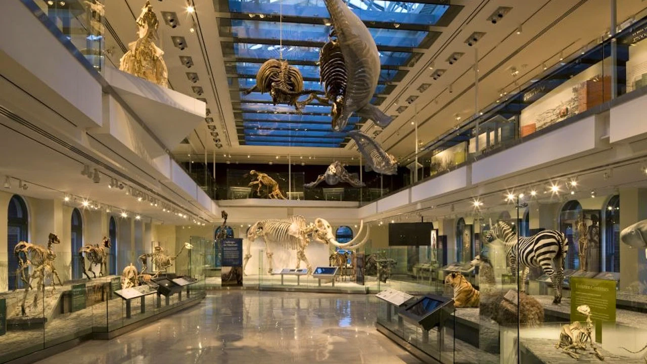 Natural History Museum of Los Angeles County Ticket Ticket