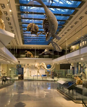 Natural History Museum of Los Angeles County Ticket