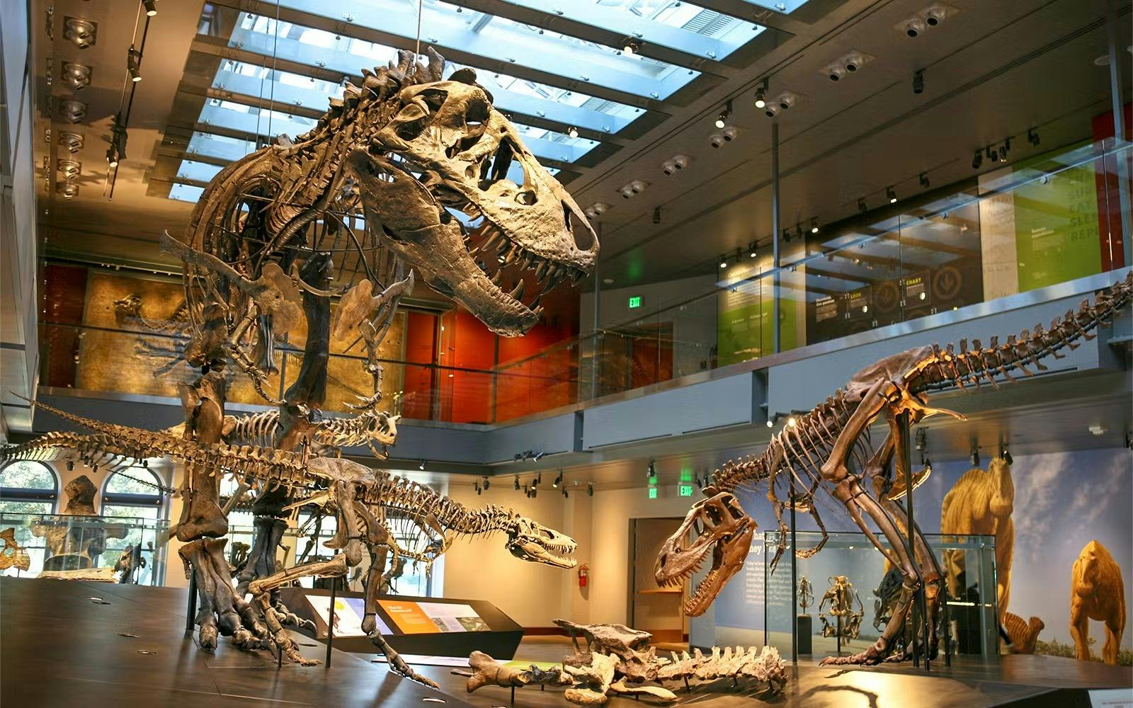 Natural History Museum of Los Angeles County Ticket Review