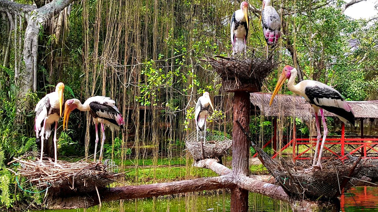 Penang Bird Park Ticket Ticket