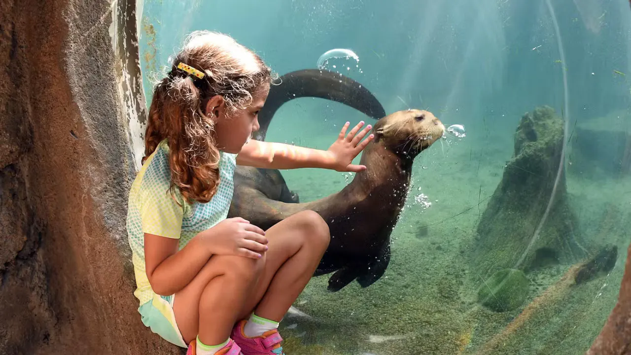 Zoo Miami Ticket Price