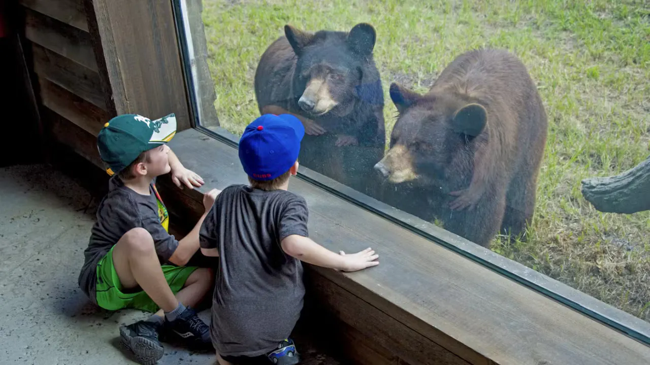 Zoo Miami Ticket Discount