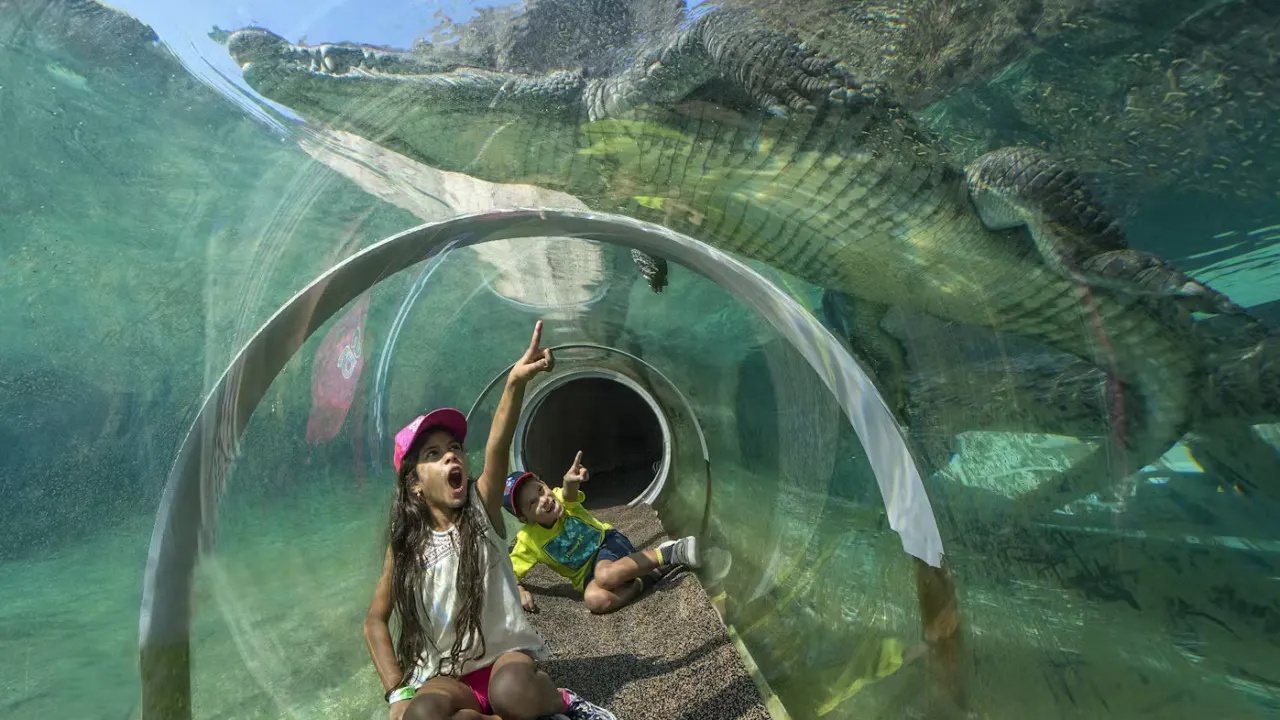 Zoo Miami Ticket Ticket