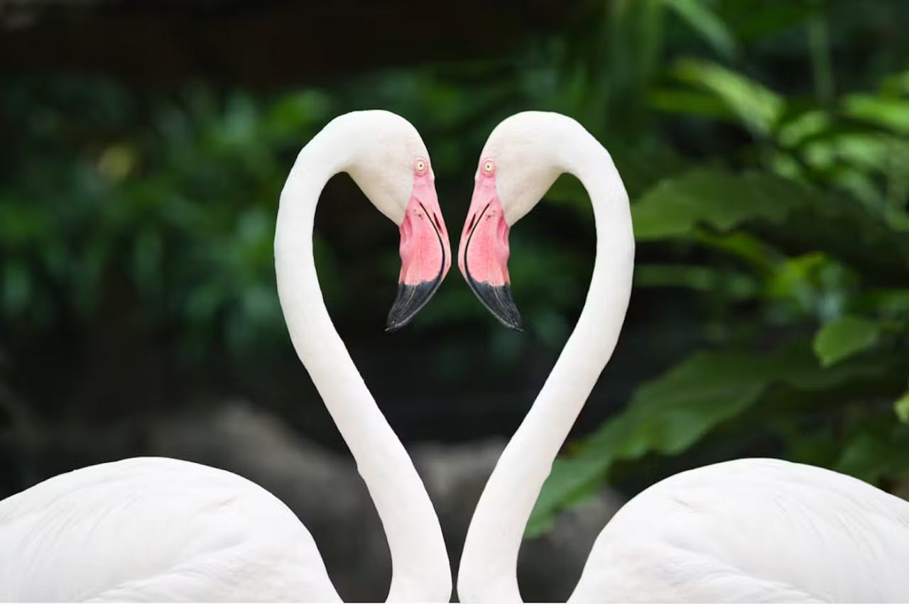 Zoo Miami Ticket Location