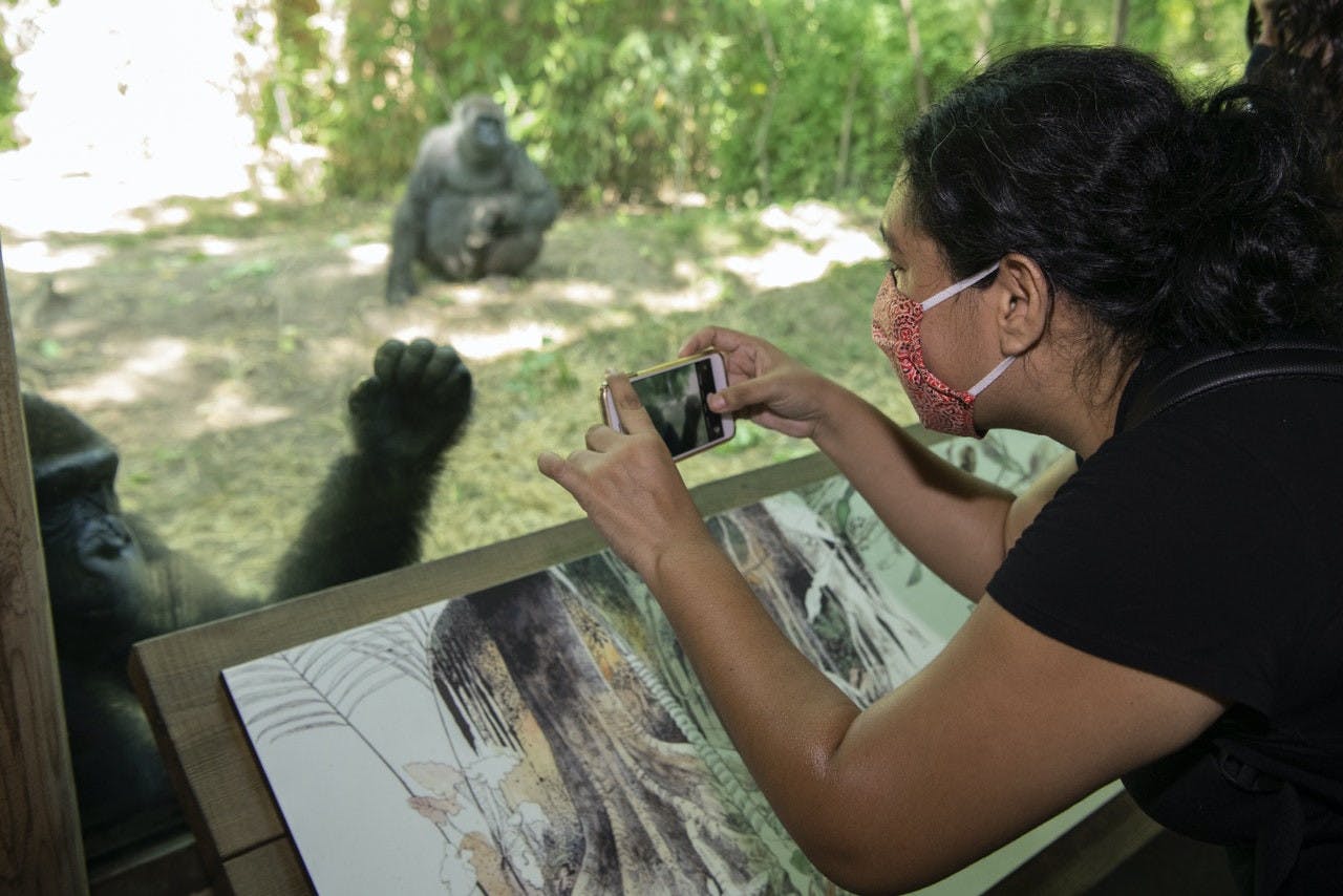 Bronx Zoo Ticket Price