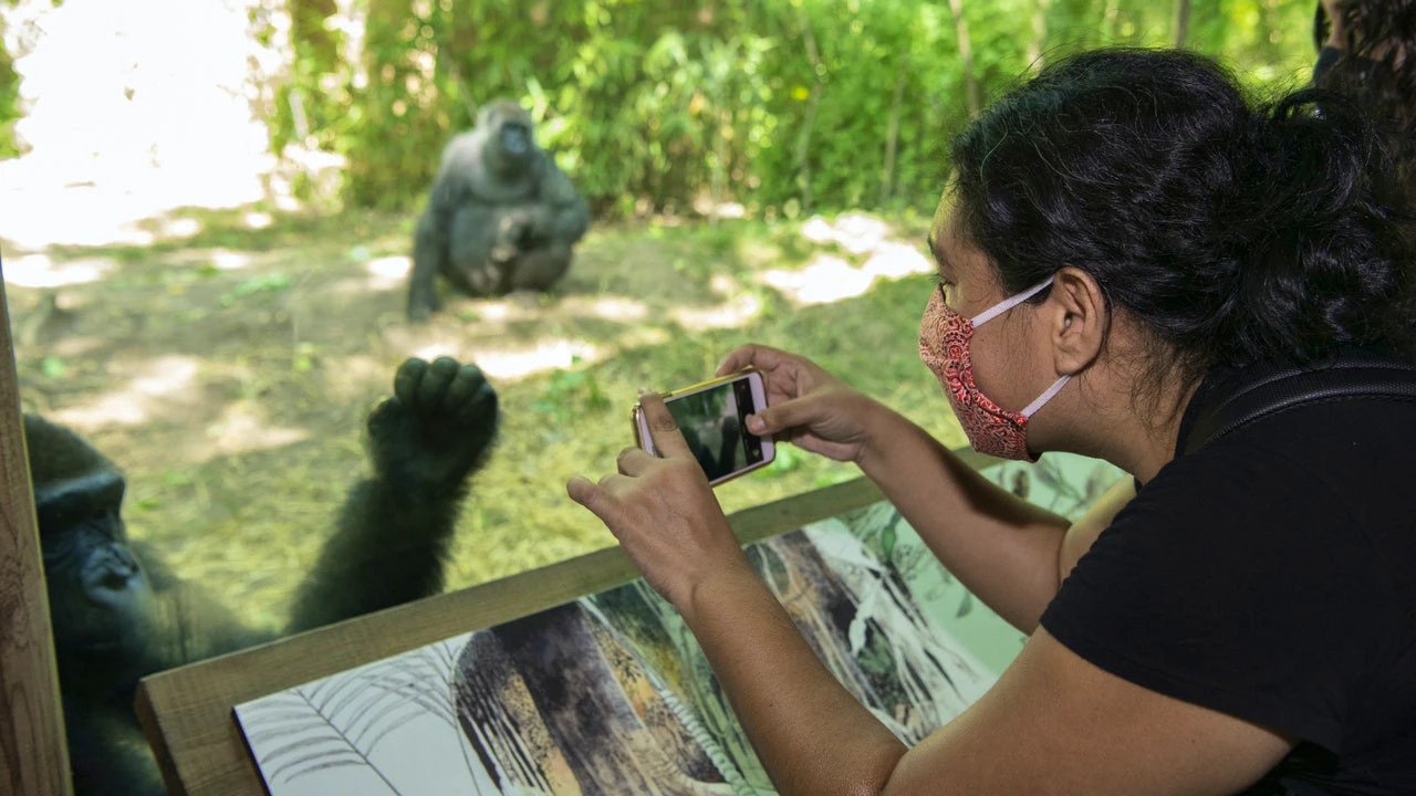 Bronx Zoo Ticket Price