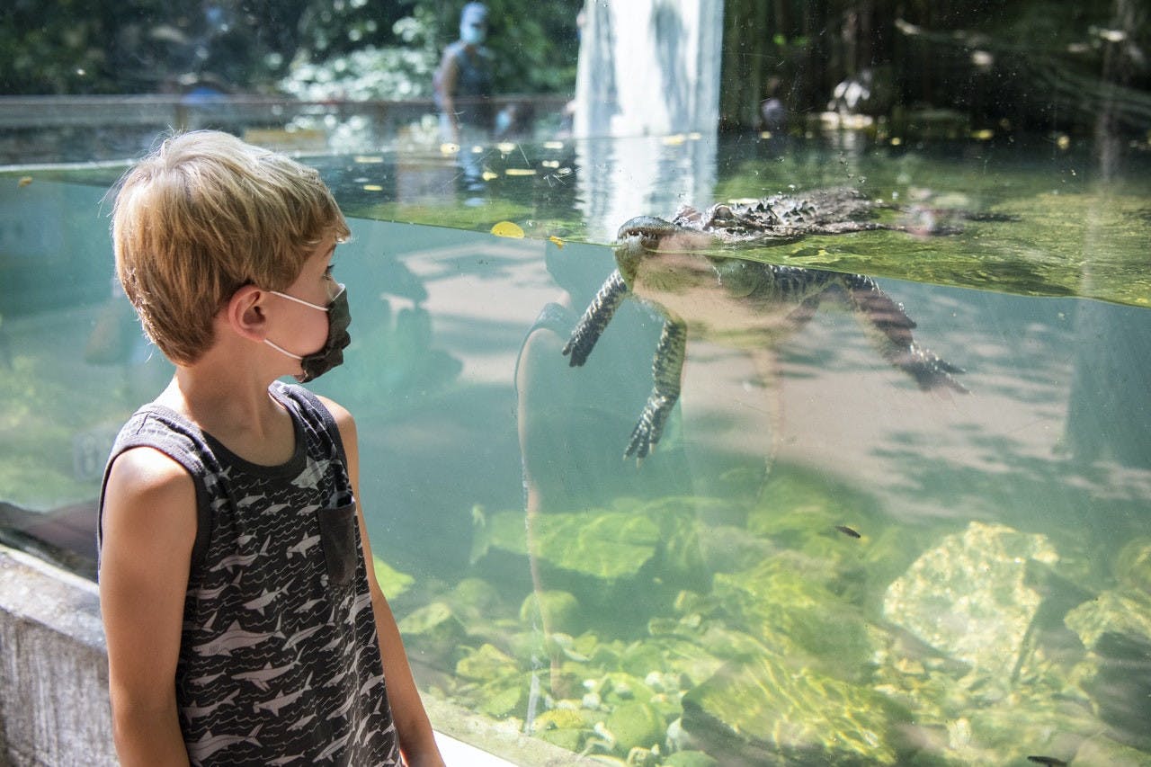 Bronx Zoo Ticket Discount