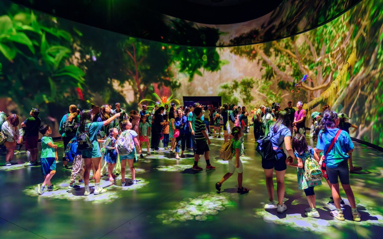 Combo: American Museum of Natural History + The Museum of Modern Art (MoMA)  Review