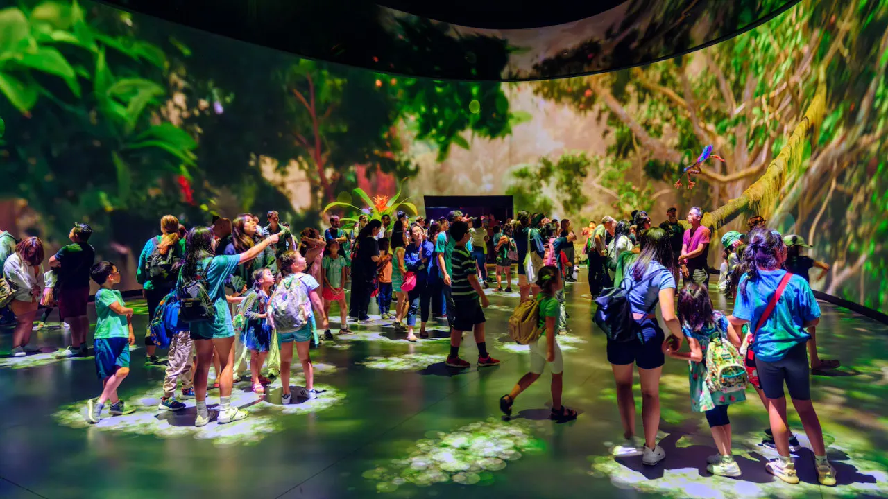 Combo: American Museum of Natural History + The Museum of Modern Art (MoMA) Review