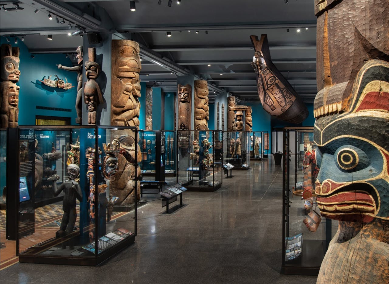 Combo: American Museum of Natural History + The Museum of Modern Art (MoMA)  Thrillark