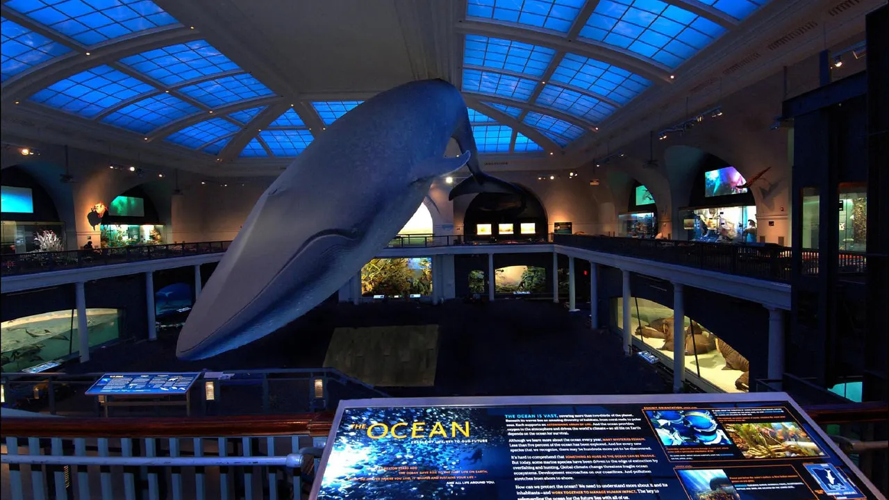 Combo: American Museum of Natural History + The Museum of Modern Art (MoMA) Price