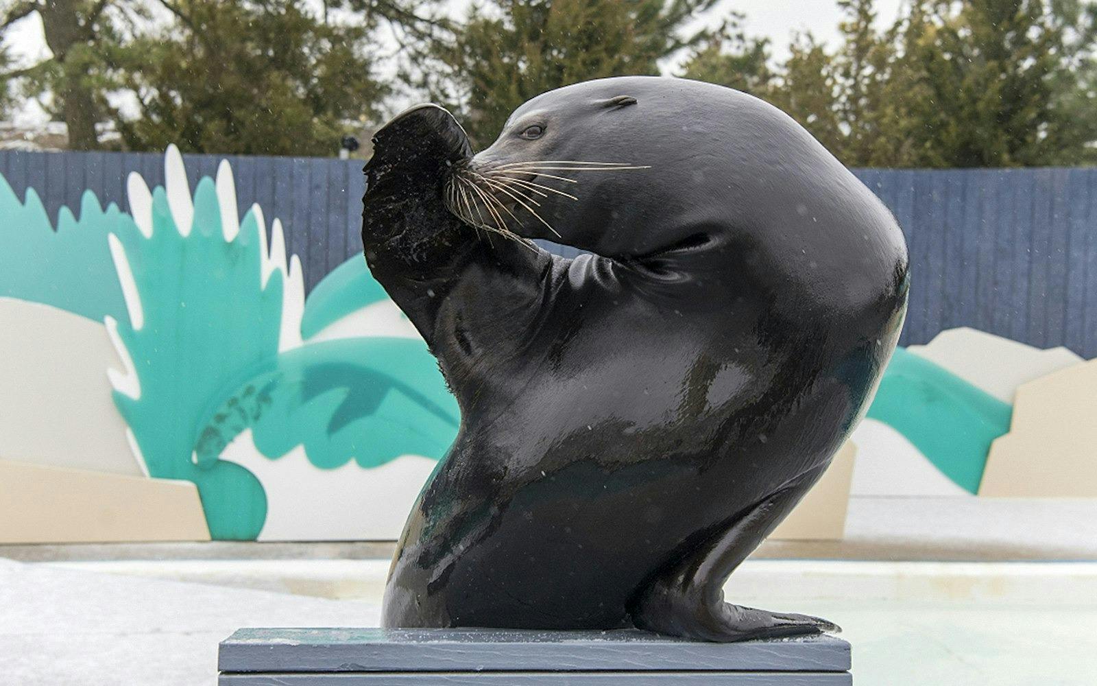 New York Aquarium Ticket Price