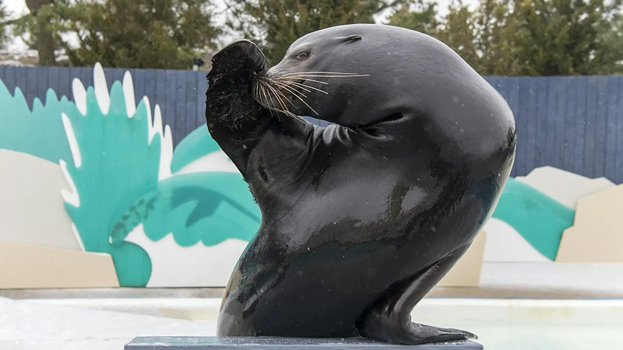 New York Aquarium Ticket Price
