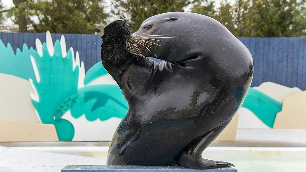 New York Aquarium Ticket Price