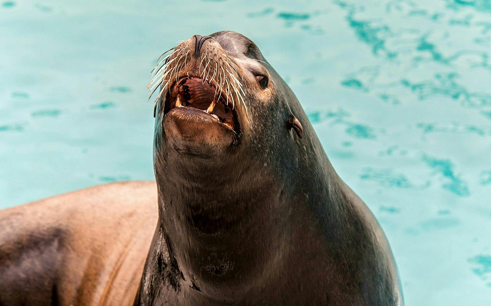 New York Aquarium Ticket Discount