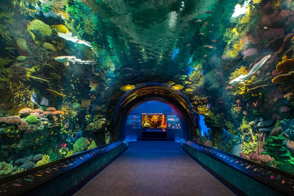 New York Aquarium Ticket Discount