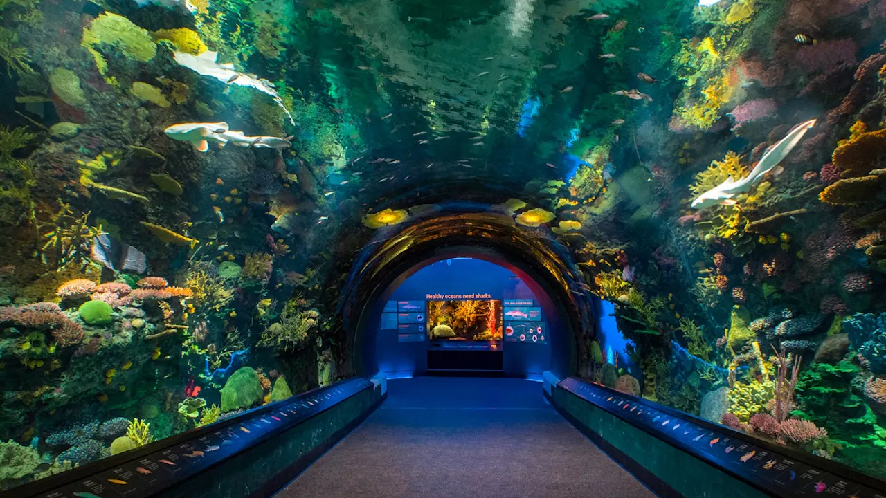 New York Aquarium Ticket Discount