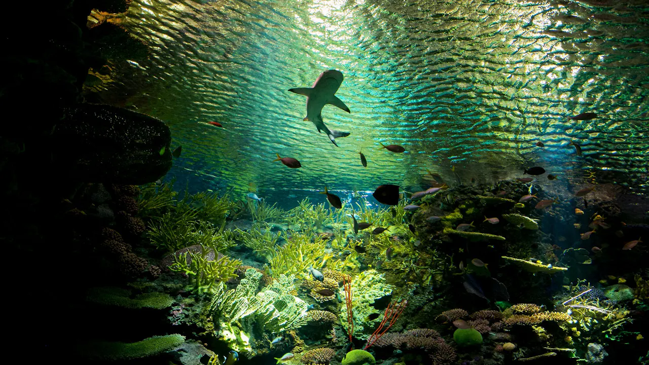 New York Aquarium Ticket Review