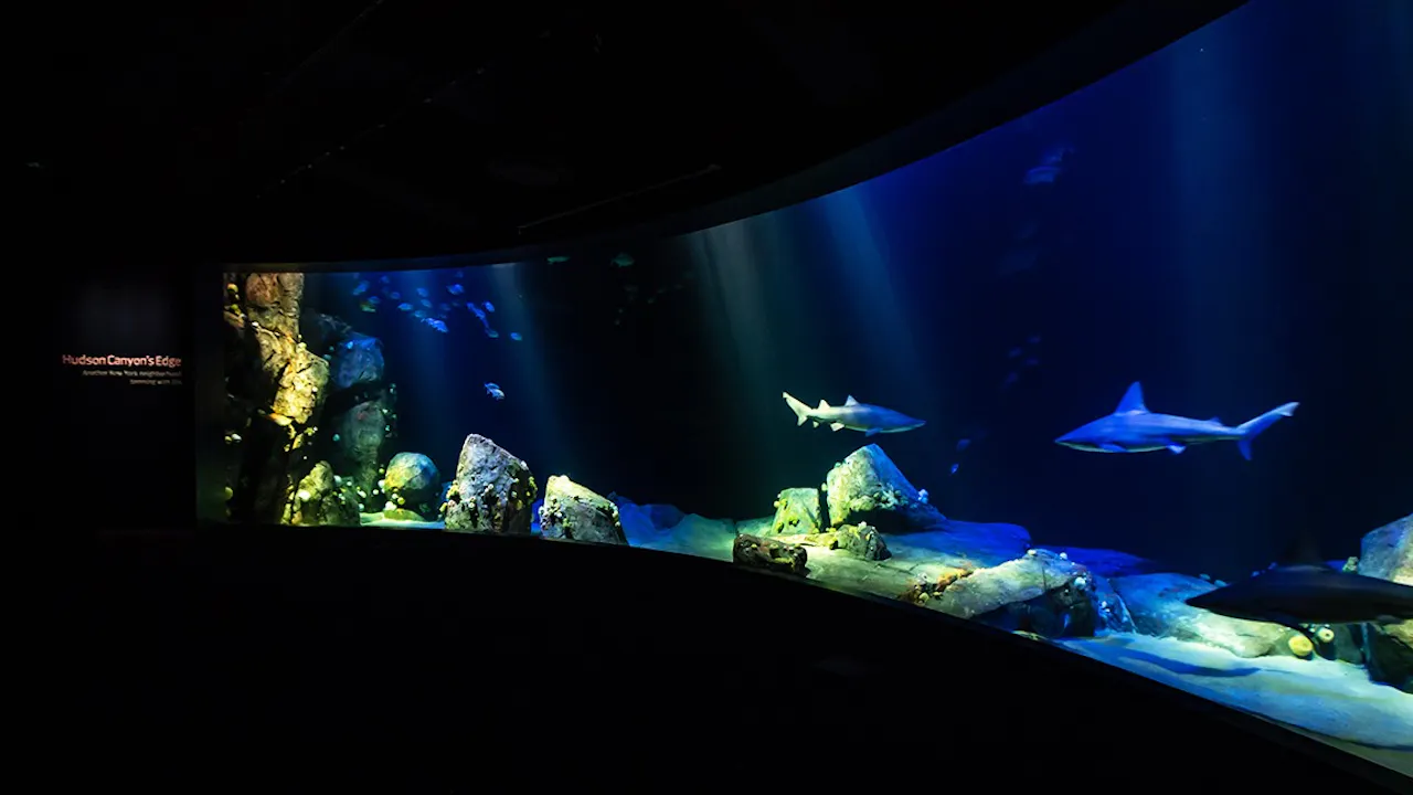 New York Aquarium Ticket Review