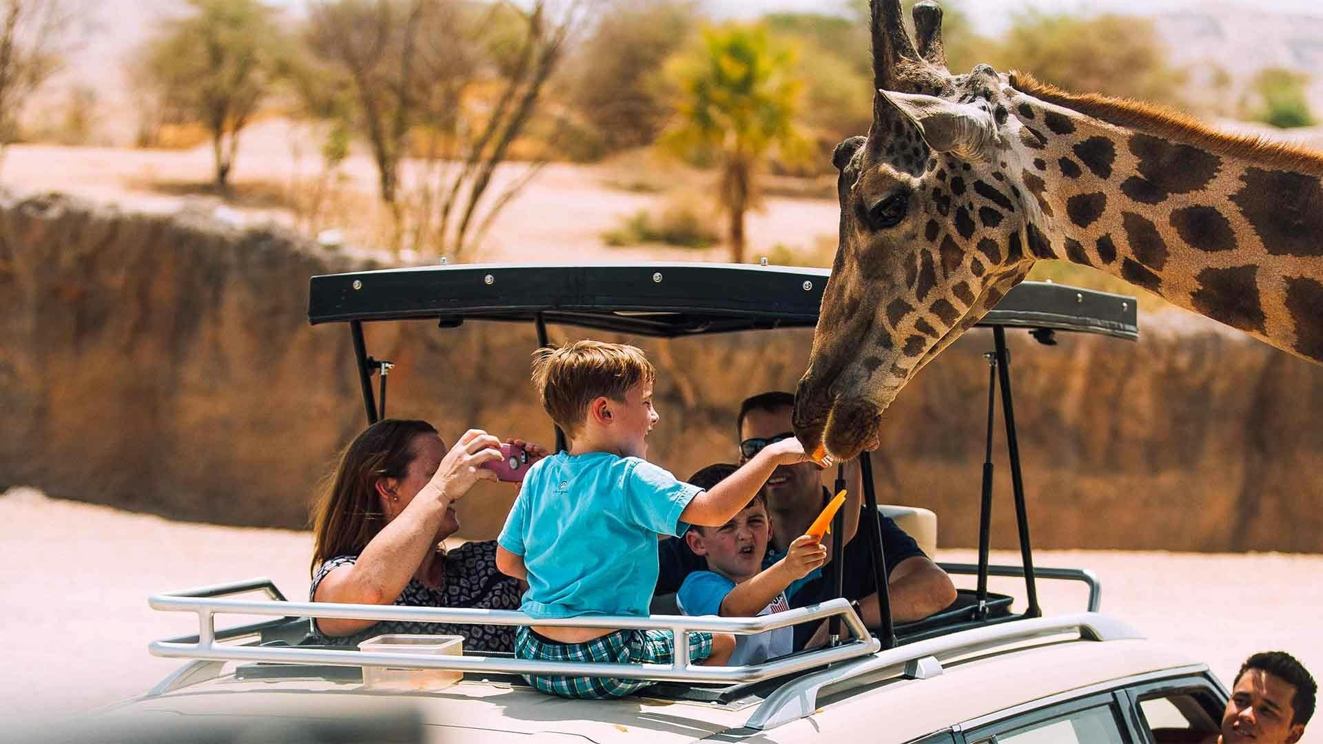 Al Ain Zoo Ticket  Review