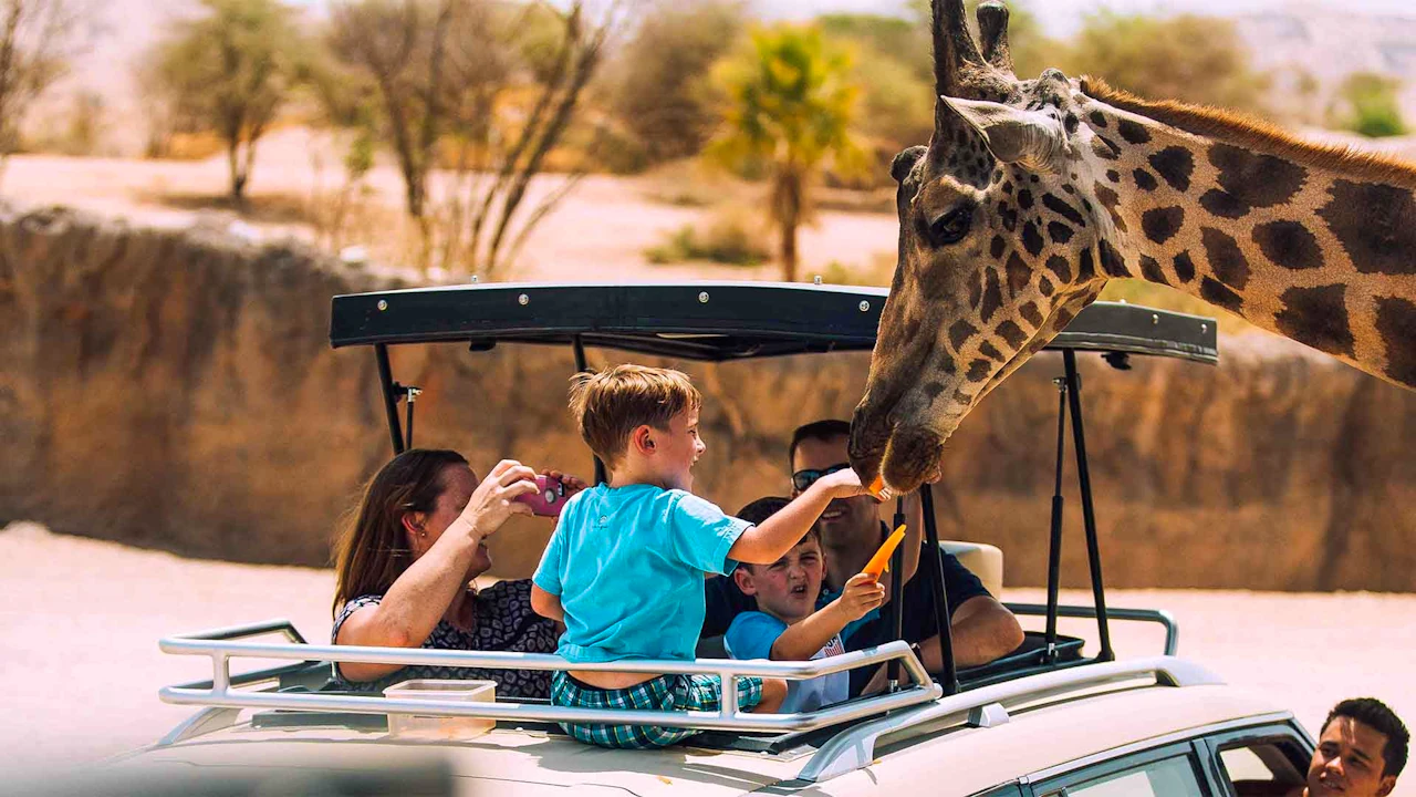 Al Ain Zoo Ticket Review