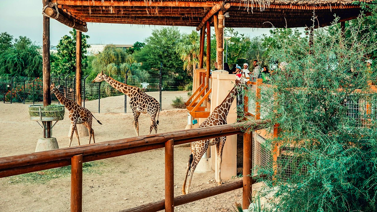 Al Ain Zoo Ticket