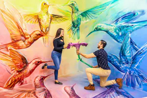 World of Illusions Ticket