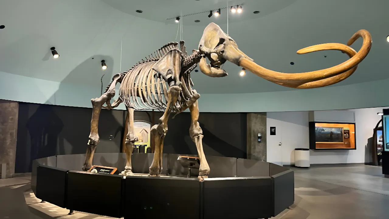 La Brea Tar Pits Museum Ticket Ticket