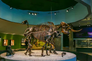 La Brea Tar Pits Museum Ticket