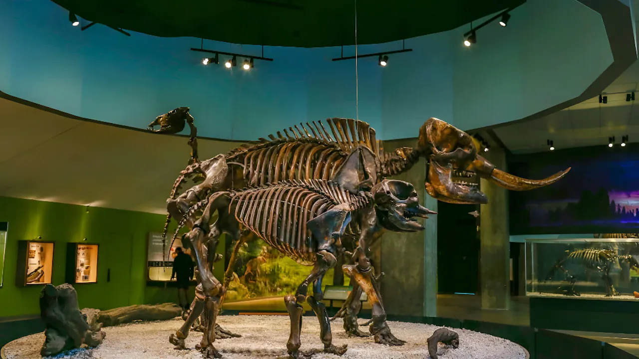 La Brea Tar Pits Museum Ticket