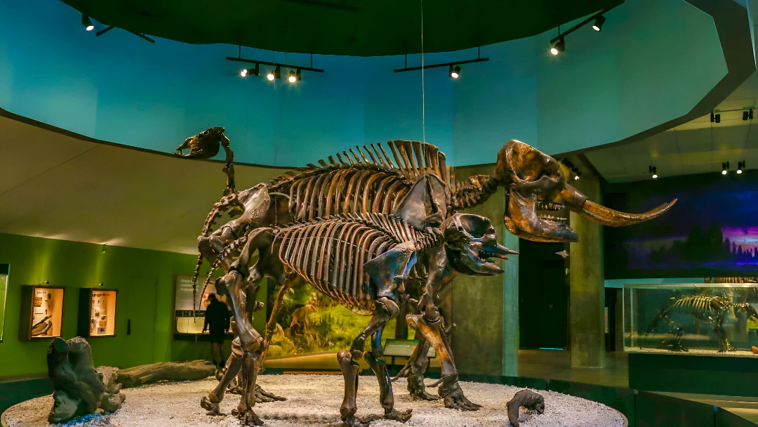 La Brea Tar Pits Museum Ticket
