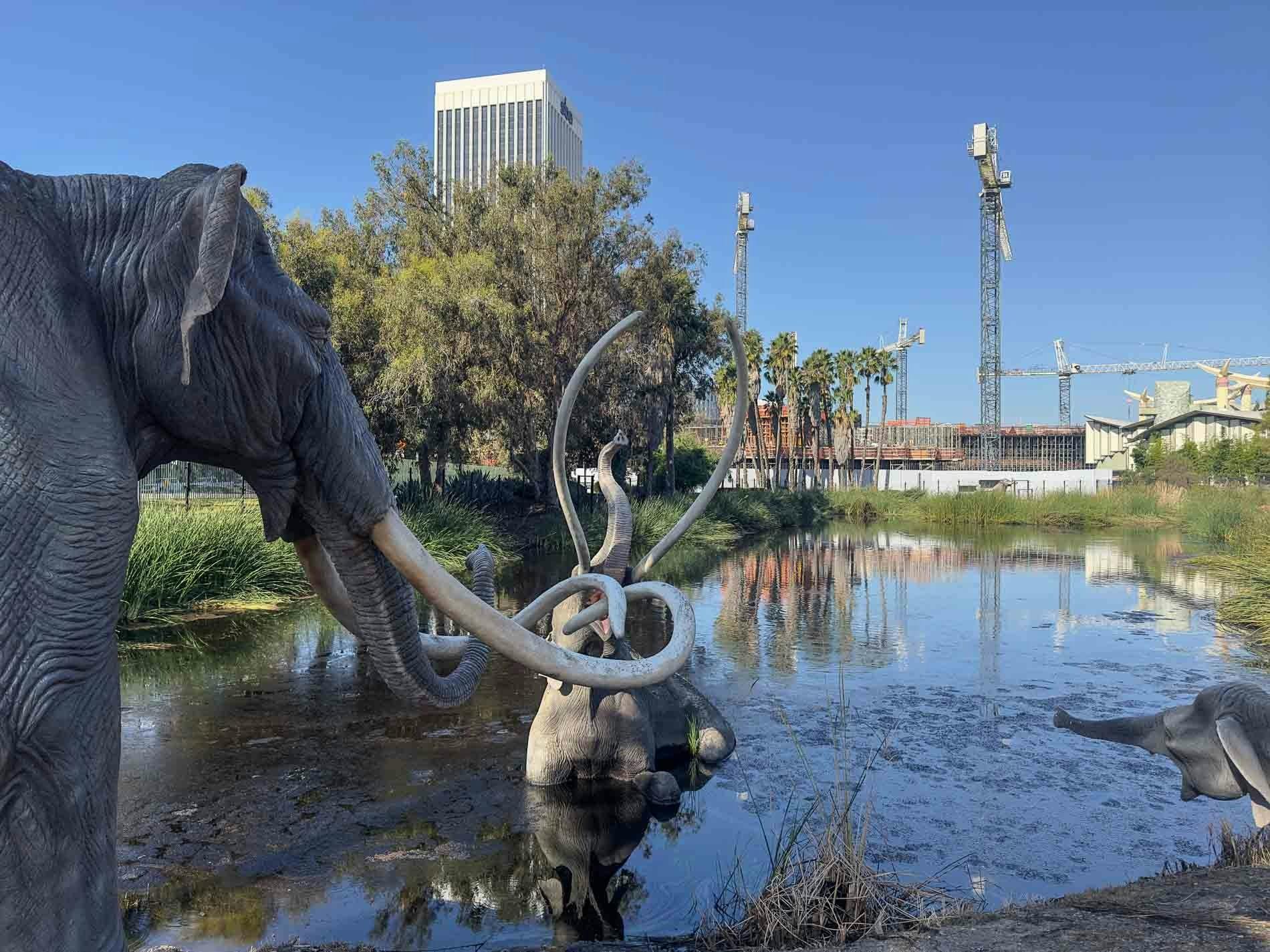 La Brea Tar Pits Museum Ticket Location
