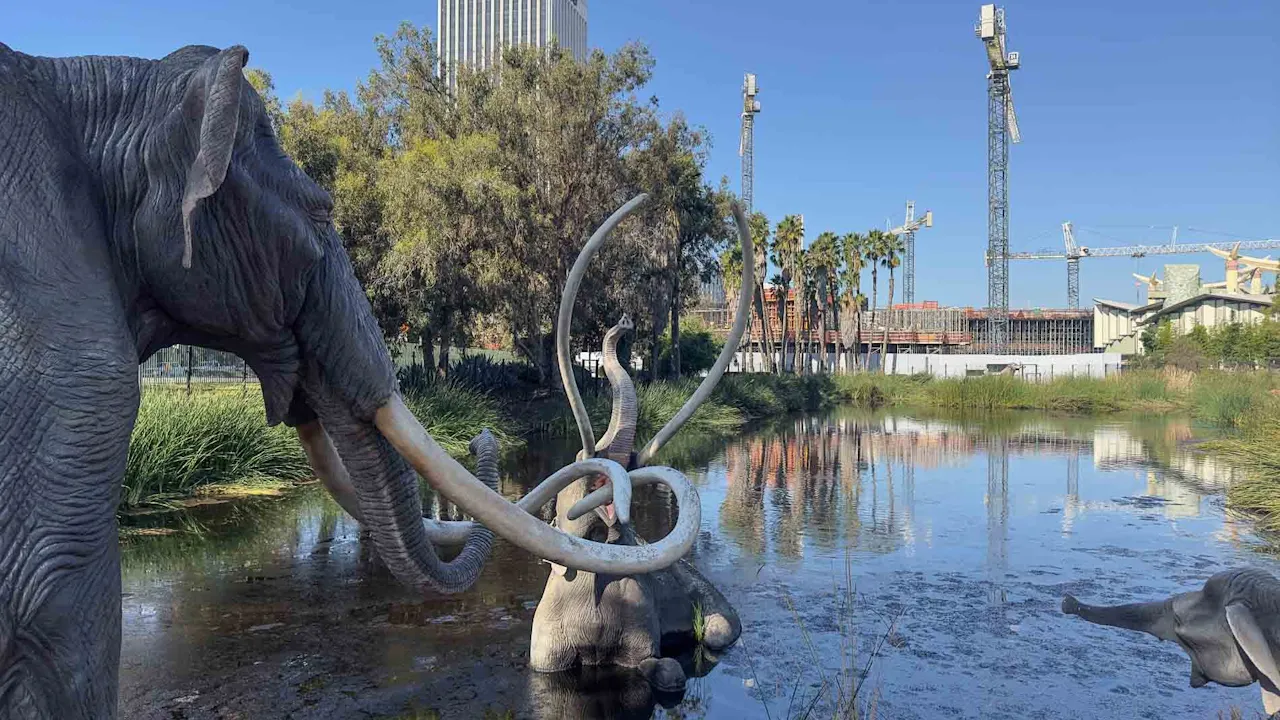La Brea Tar Pits Museum Ticket Location