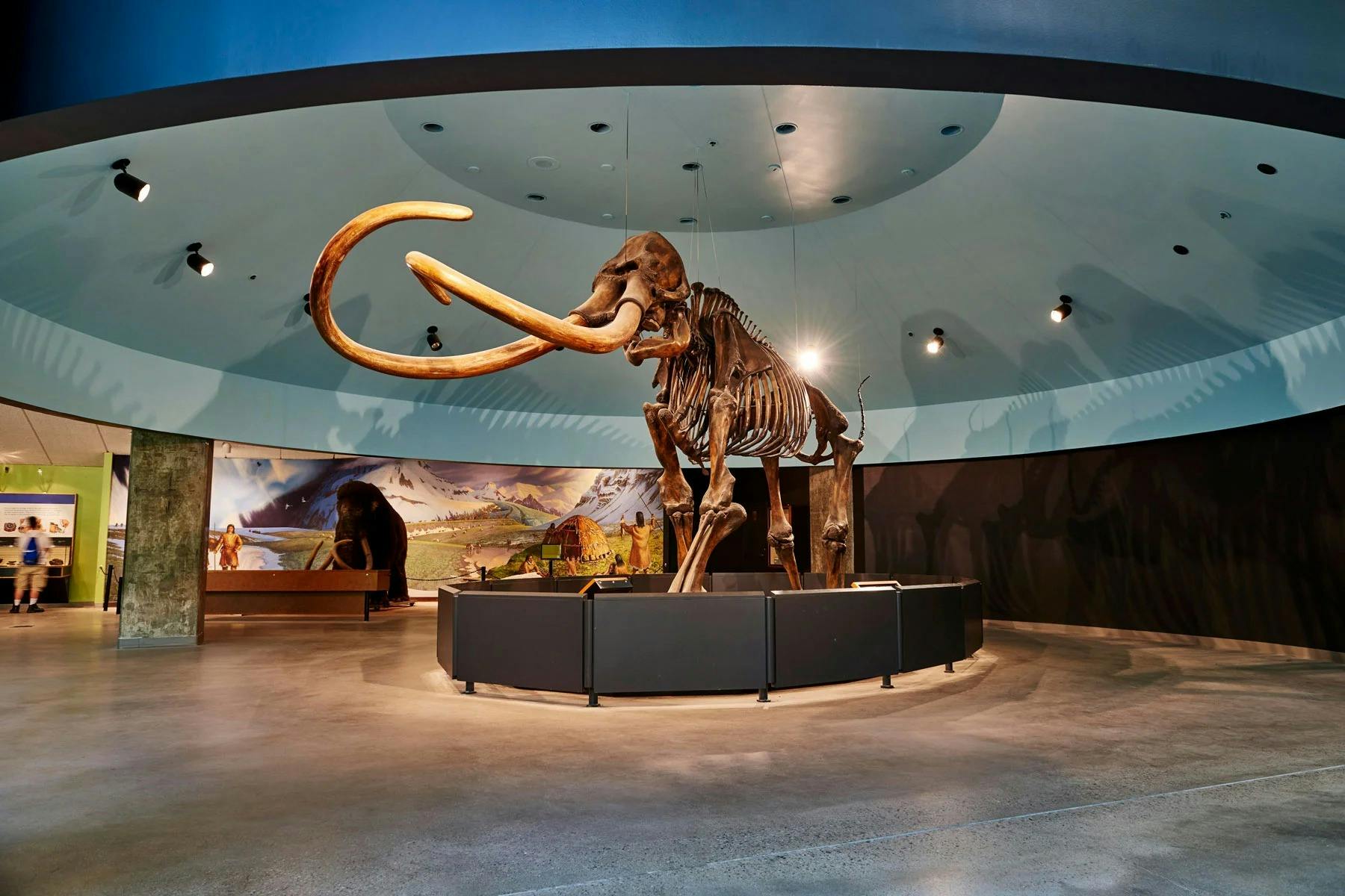 La Brea Tar Pits Museum Ticket Category