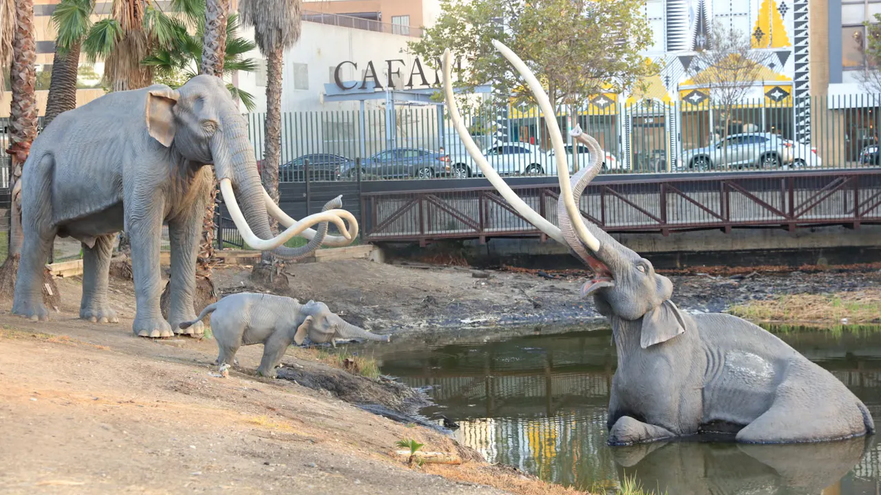 La Brea Tar Pits Museum Ticket
