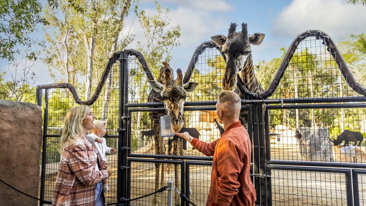 Go City Los Angeles All-Inclusive Pass: Save up to 50% on Attractions