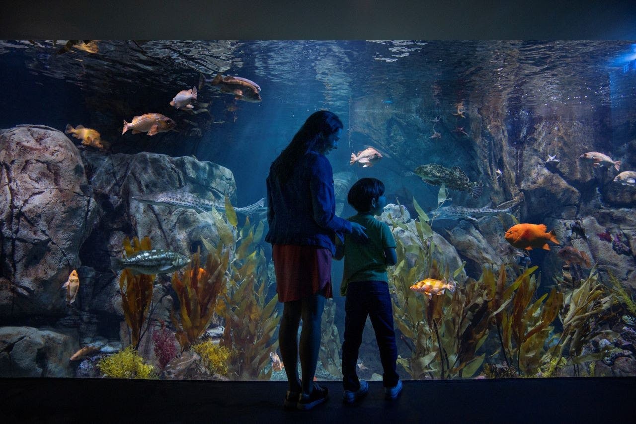 Go City Los Angeles All-Inclusive Pass: Save up to 50% on Attractions Discount