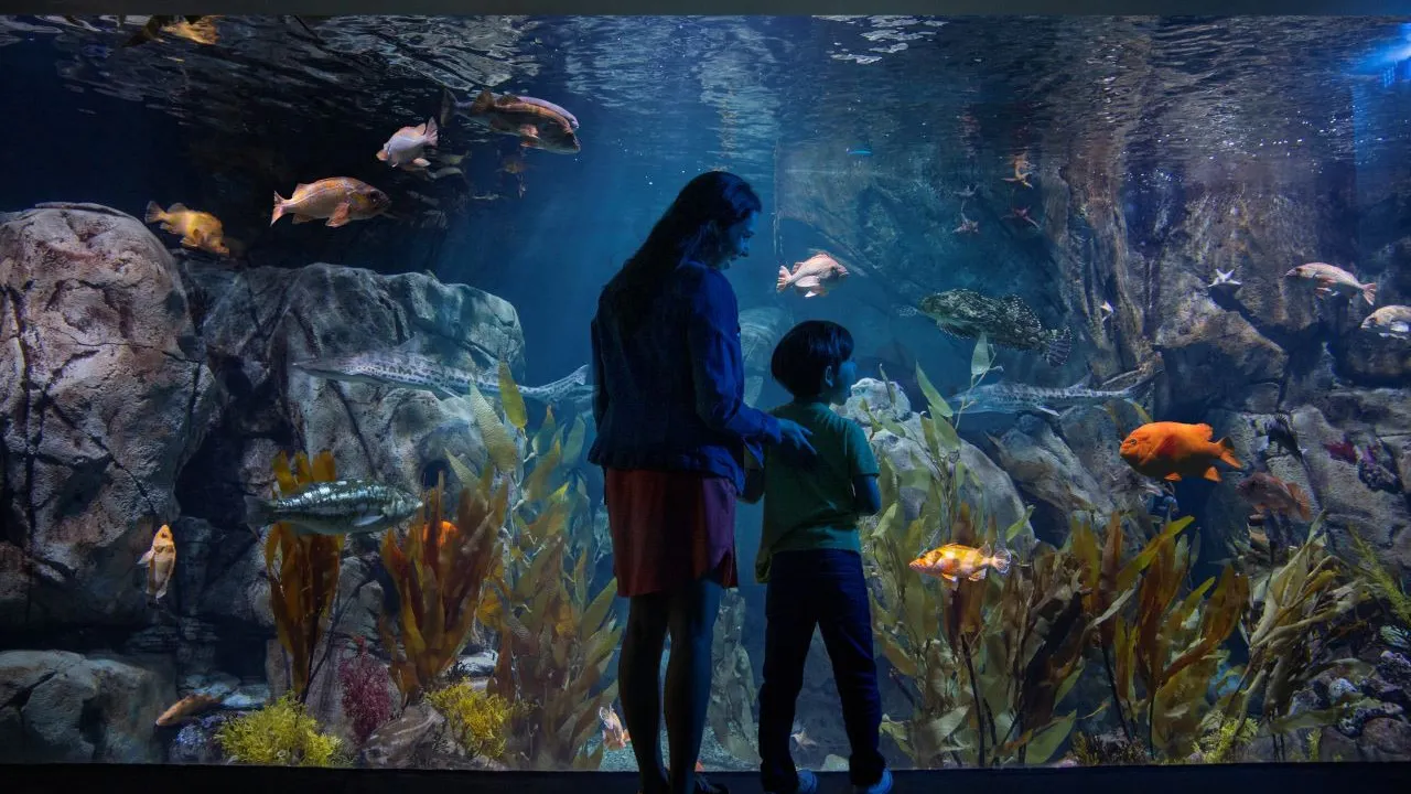 Go City Los Angeles All-Inclusive Pass: Save up to 50% on Attractions Discount