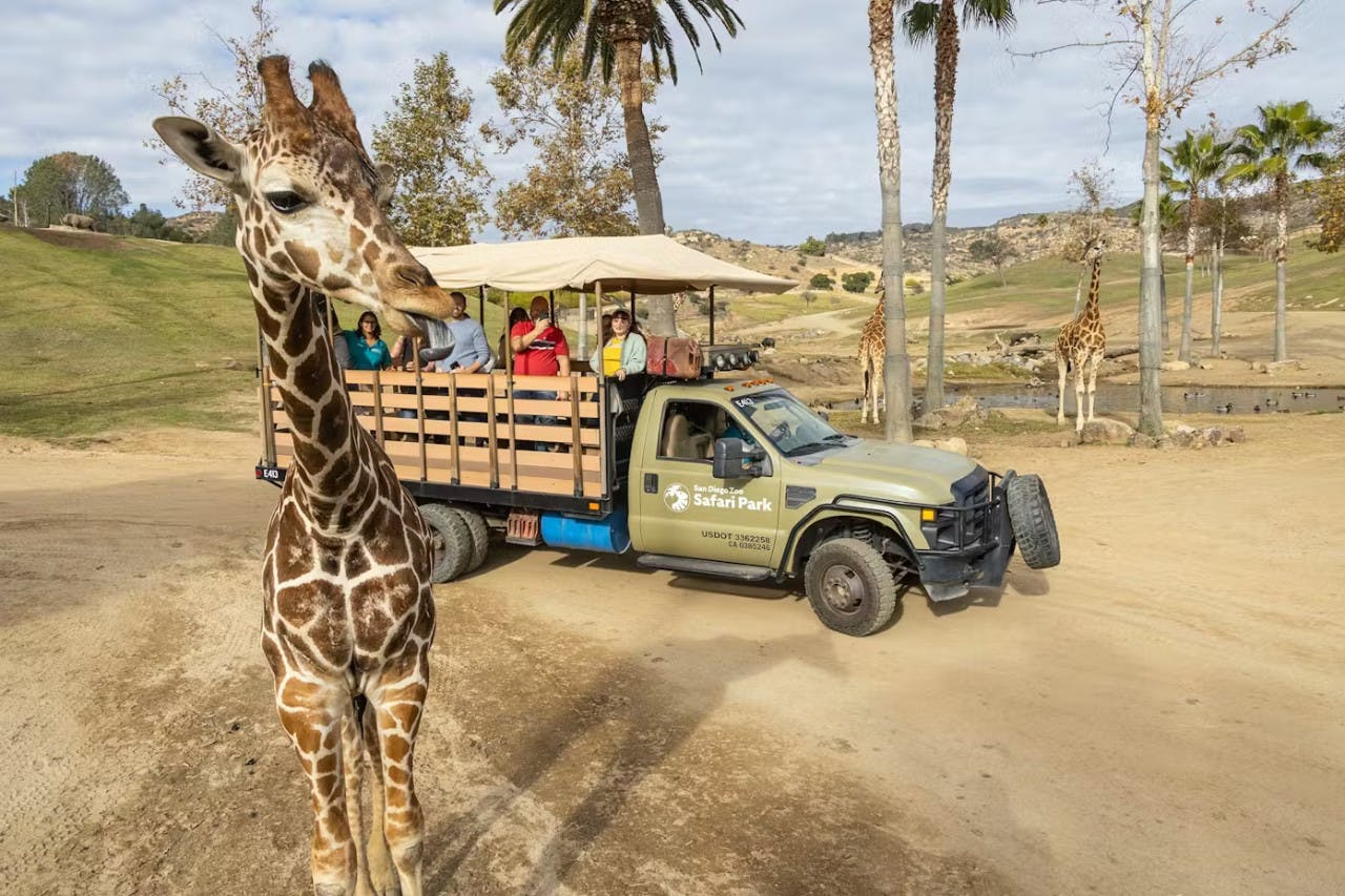 2-Visit Pass: San Diego Zoo + San Diego Zoo Safari Park Tickets Review