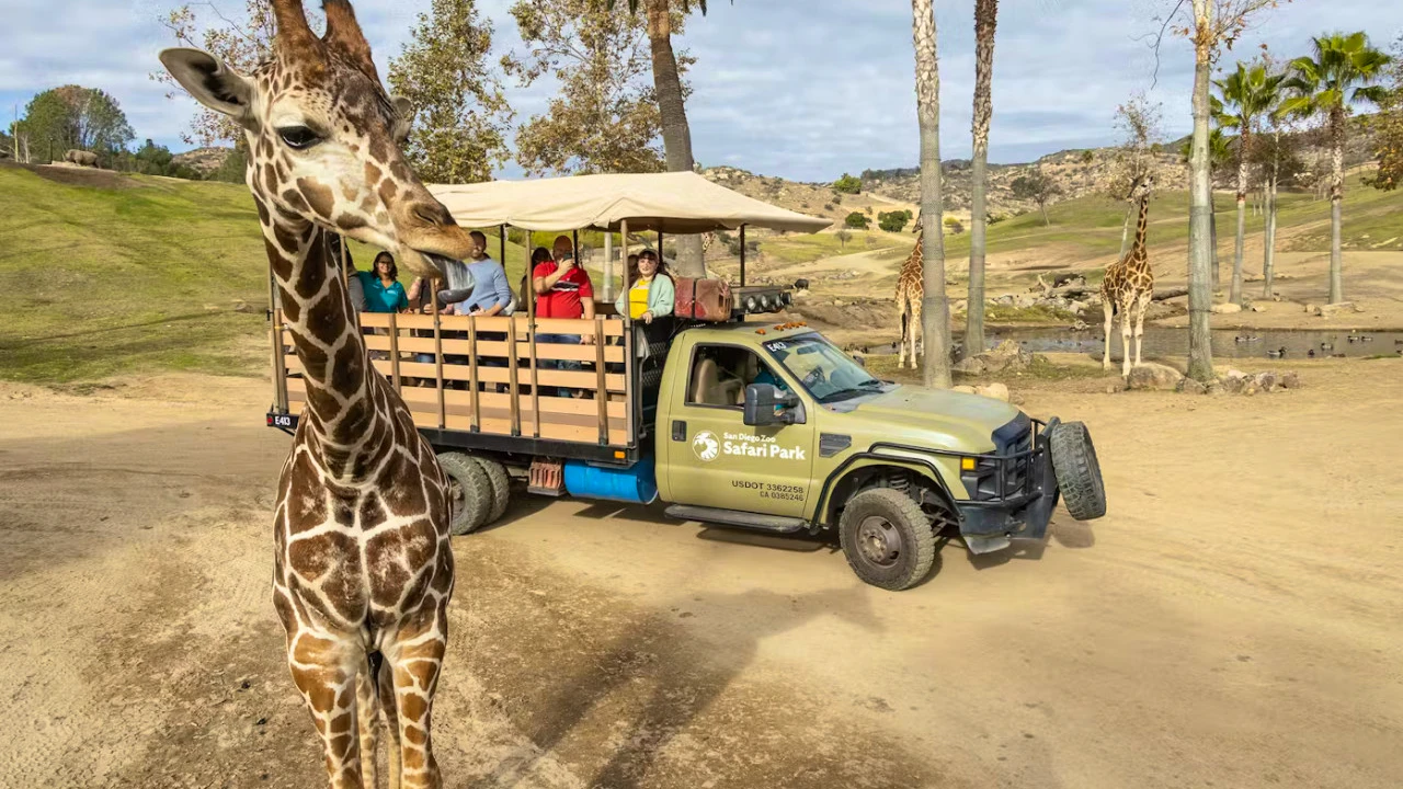 2-Visit Pass: San Diego Zoo + San Diego Zoo Safari Park Tickets Review