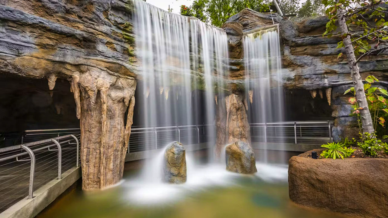 2-Visit Pass: San Diego Zoo + San Diego Zoo Safari Park Tickets Discount