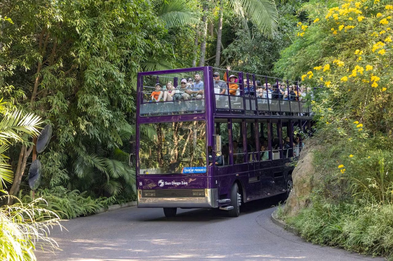 2-Visit Pass: San Diego Zoo + San Diego Zoo Safari Park Tickets Category