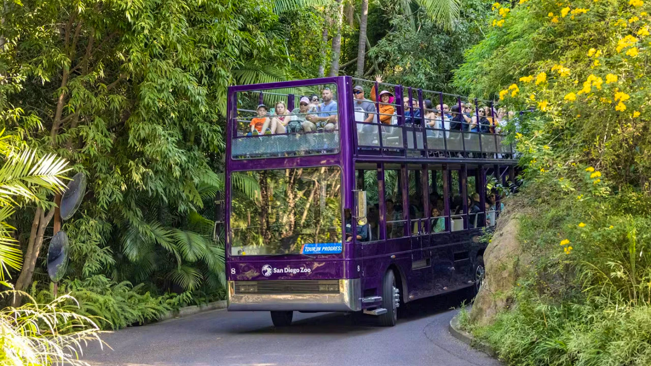 2-Visit Pass: San Diego Zoo + San Diego Zoo Safari Park Tickets Category