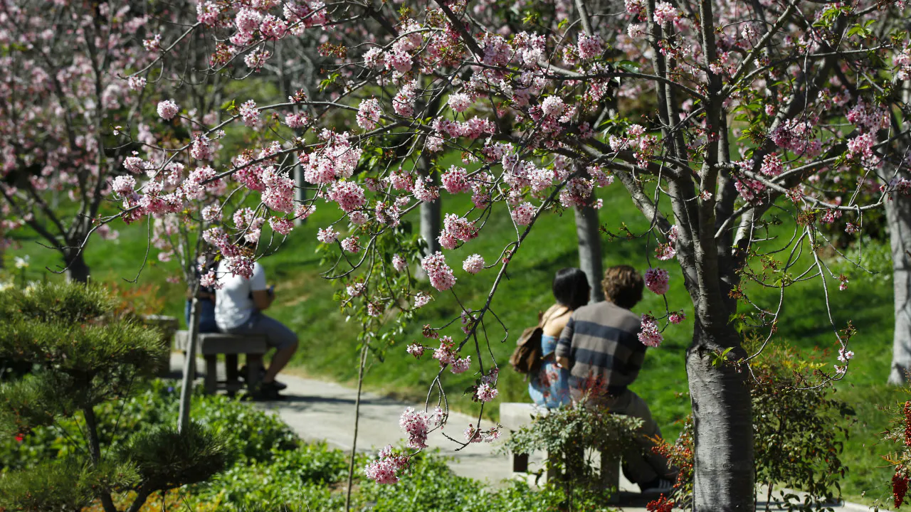 Go City San Diego All-Inclusive Pass: Save Up to 50% on Attractions Discount