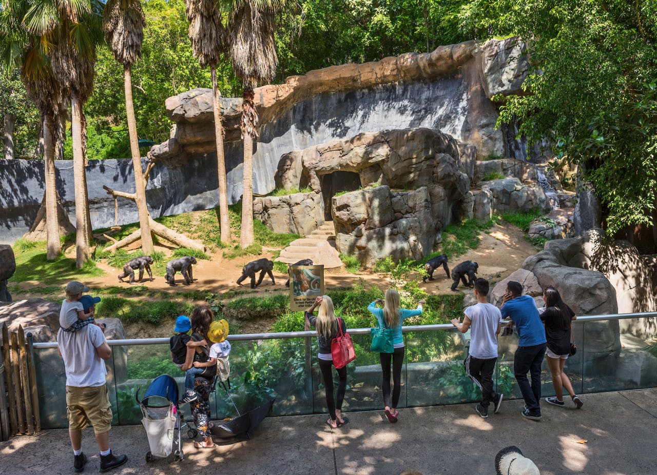 Go City Las Vegas Explorer Pass – Save up to 50% on Attractions Ticket