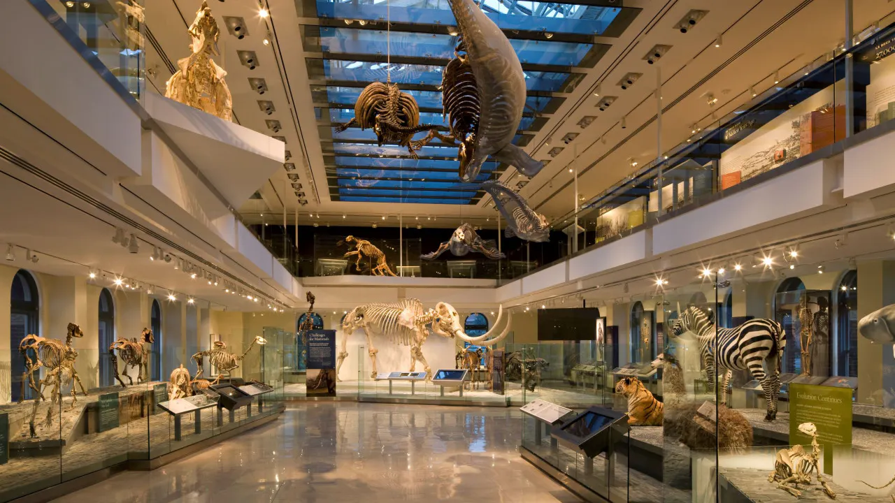 Go City Las Vegas Explorer Pass – Save up to 50% on Attractions Location